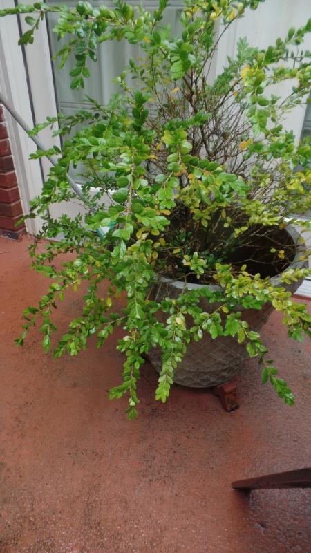 Sale Photo Thumbnail #338