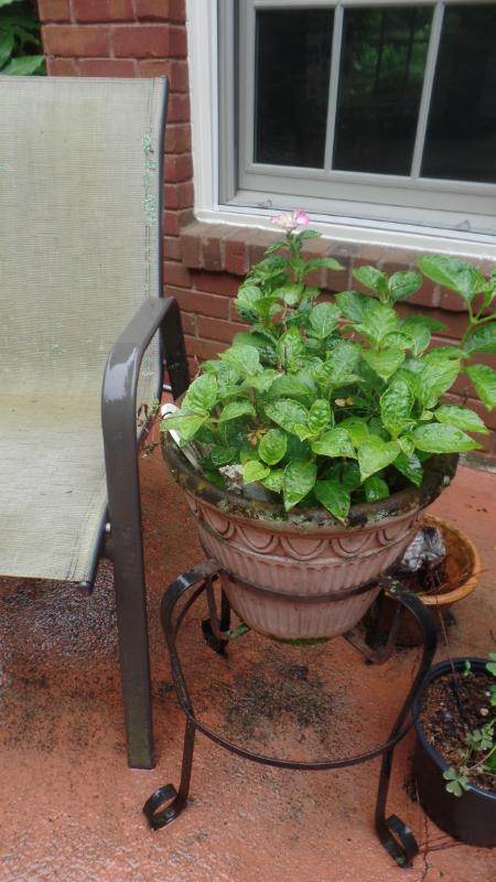 Sale Photo Thumbnail #337