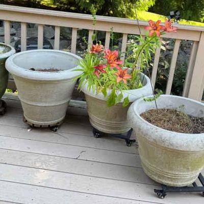 Stone planter box with fountain grass