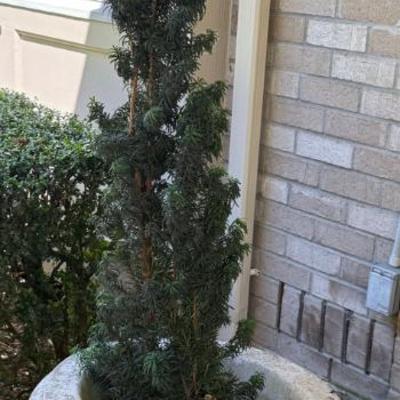 Marque 99 concrete planters pair