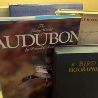 Big bird books