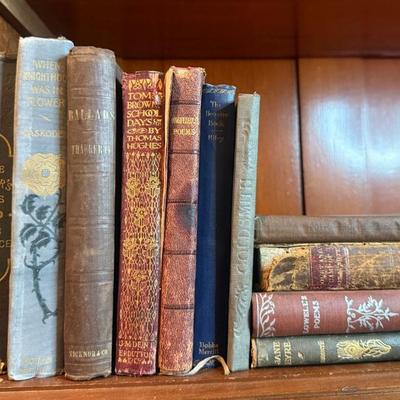 Antique literature books