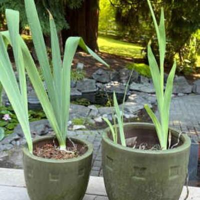 Green ceramic pots