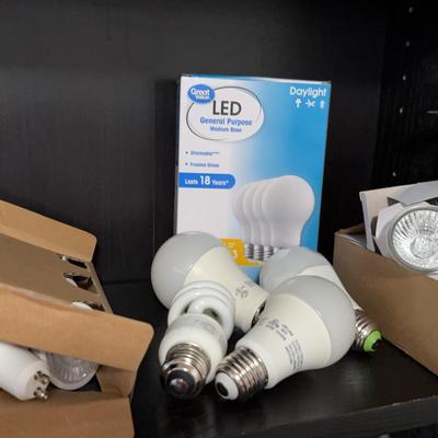 LED Lightbulbs 