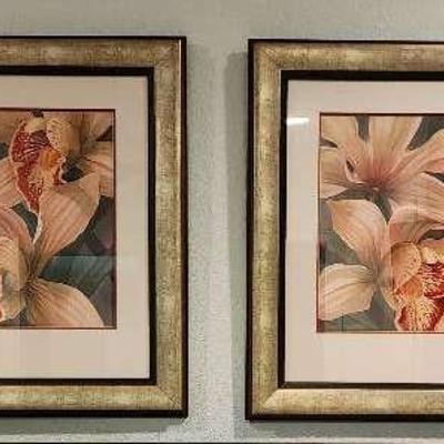 Set Star Furniture Prints 