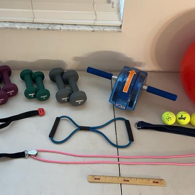 Fitness Lot - Weider Weights 4,6,&8, Ankle Weights, Yoga Ball 