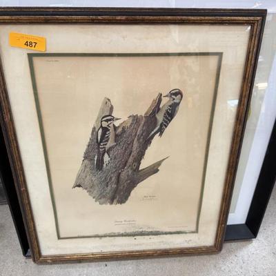 Sale Photo Thumbnail #287