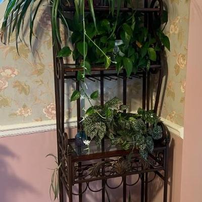 Bakers Rack & Plants