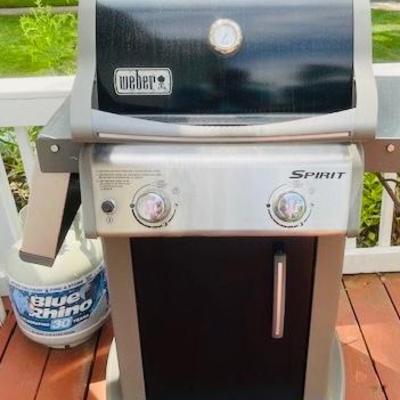 Weber Grill