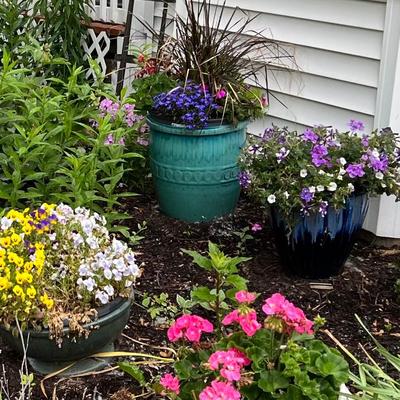 Ceramic Planters - lots