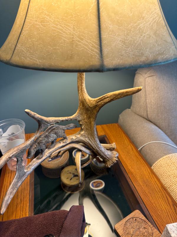 Sale Photo Thumbnail #10