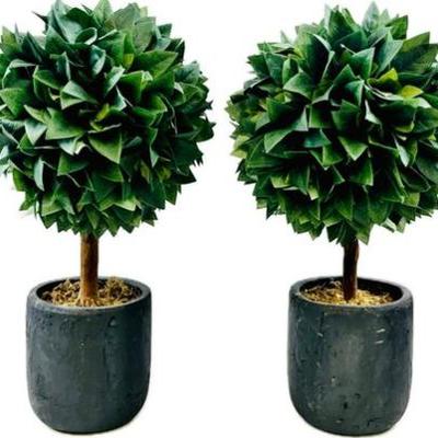 Sale Photo Thumbnail #161: Pair Faux Ruscus Topiaries In Stoneware Style Pots