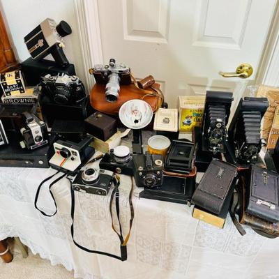 Sale Photo Thumbnail #161