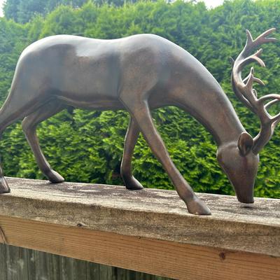 Stag/Deer
