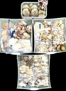 Sale Photo Thumbnail #72