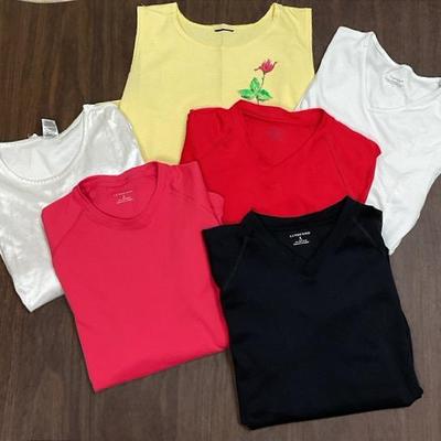 “Lands’ End,” “Chill Chasers,” & Other Shirts 