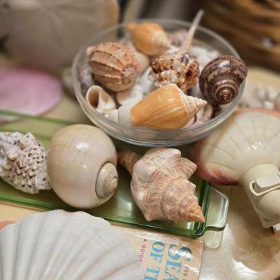 Sale Photo Thumbnail #16