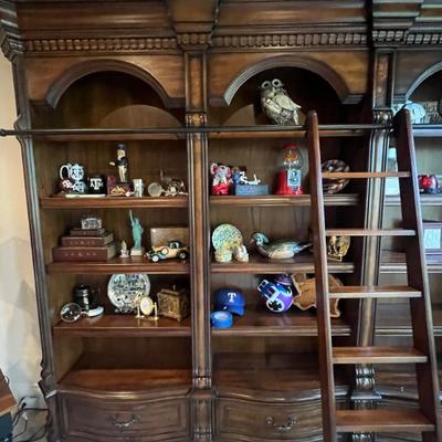 One of two library shelves w ladders! 