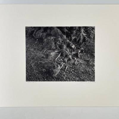 Sale Photo Thumbnail #436
