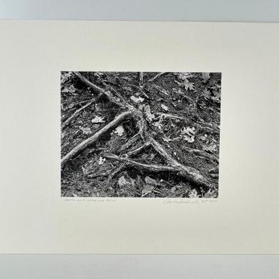 Sale Photo Thumbnail #435