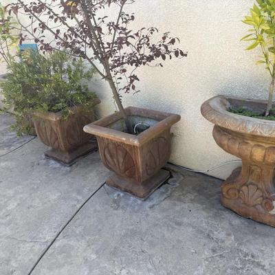 Many pots and plants 