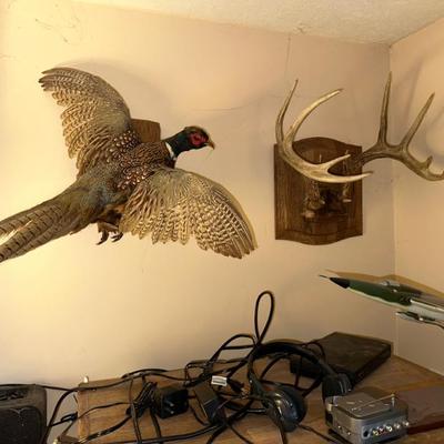 Sale Photo Thumbnail #68