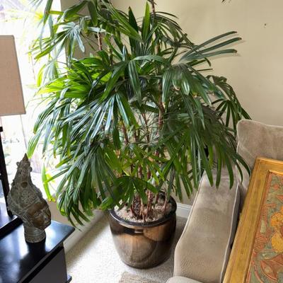 Sale Photo Thumbnail #138