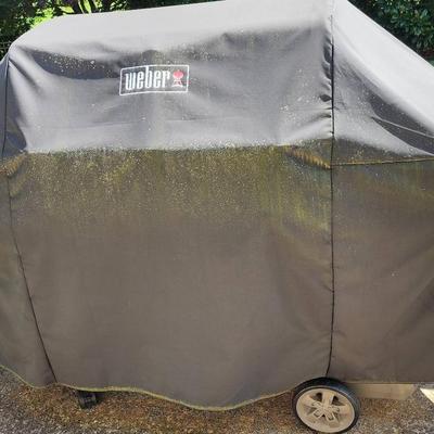 Weber Gas Grill With Cover