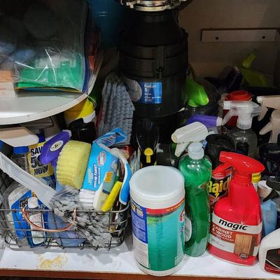 Kitchen Cleaning Mystery Lot!