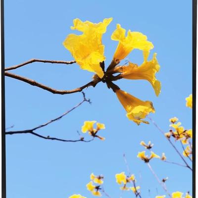 Sale Photo Thumbnail #218