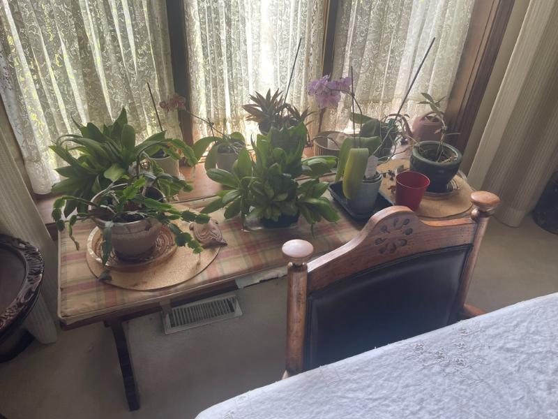 Sale Photo Thumbnail #30