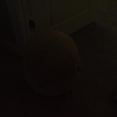 Sale Photo Thumbnail #221