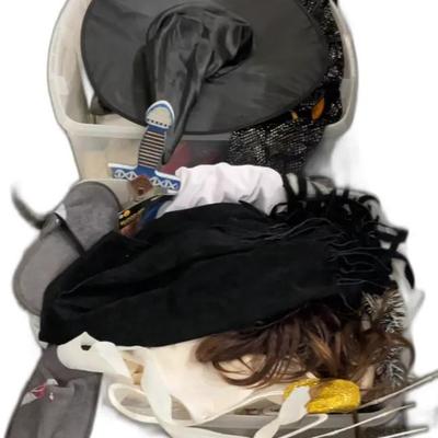 Costumes & Accessories