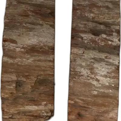 Petrified Wood Bookends
