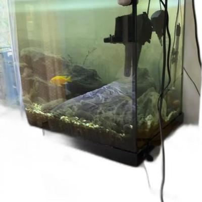 Aquarium Tank with Fish, Cichlids, and Living Rocks
