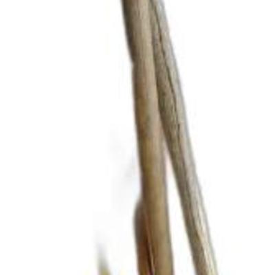 Shovels, Axes. Saws, and Other Tools
