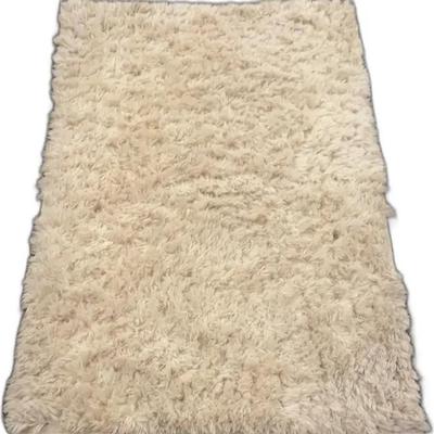 Shaggy area Rug