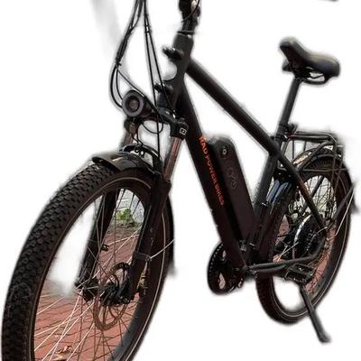 Rad Power Electric Bike