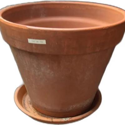 Terracotta Pots with Saucer