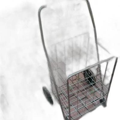 Collapsible Shopping Cart