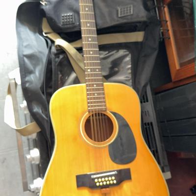 12 String Guitar 