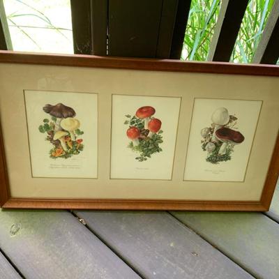 Sale Photo Thumbnail #15