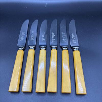 Vintage Buffalo Horn Handled Table Knife Set 