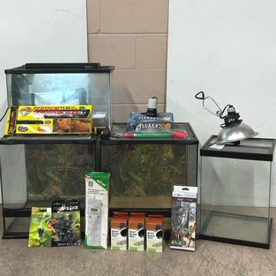 Terrariums W/ Accessories 