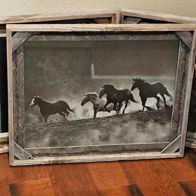 Set of Three Framed Horse Photographs with Weathered Frames and Barbed Wire Accents