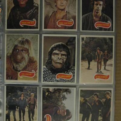 Sale Photo Thumbnail #80