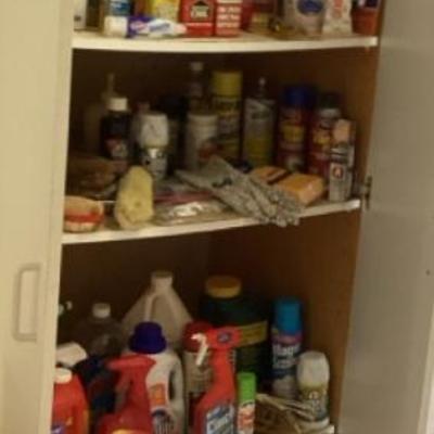 MMM186 Mystery Lot Of Various Cleaning Supplies & Pest Control