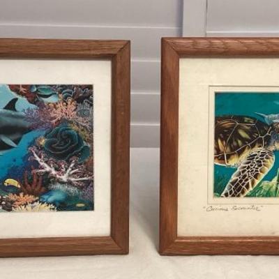 MMM068 Two Framed Pictures Of Dolphins & Other Sealife