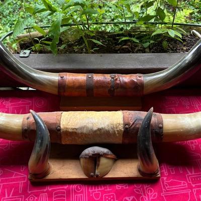 Longhorn Steer Horns - Set Of Two