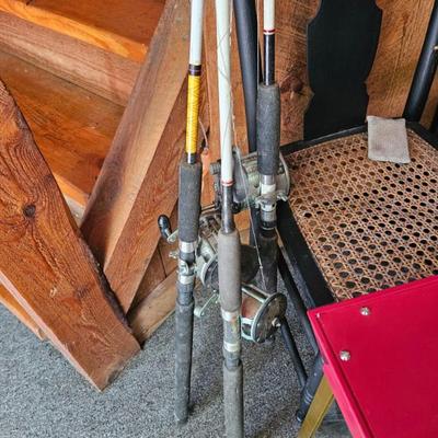 Fishing Rods/reels
